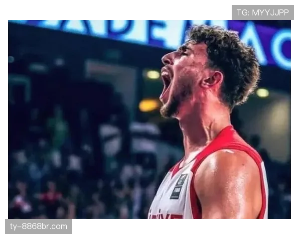 申京利用高位挡拆提升内线得分效率，明显拉开与传统中锋差距