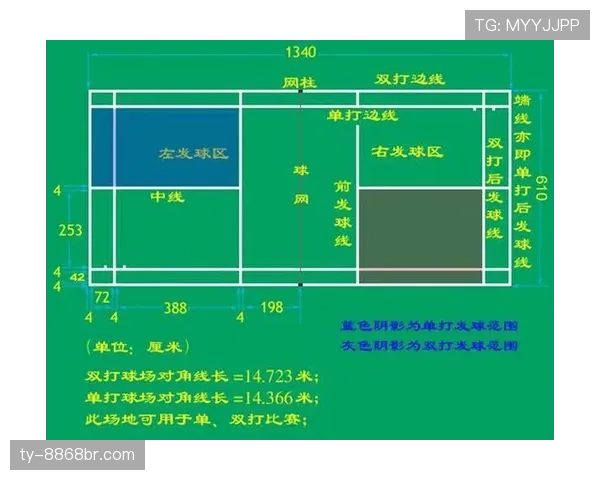 深度解析篮球“球出界判定规则”的核心要点与依据